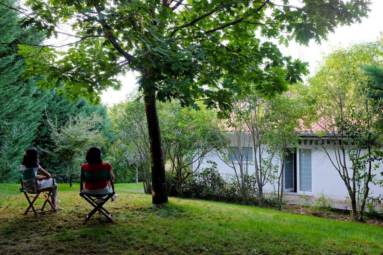 Casa Do Galo / Galo House Villa Vimioso Kültér fotó